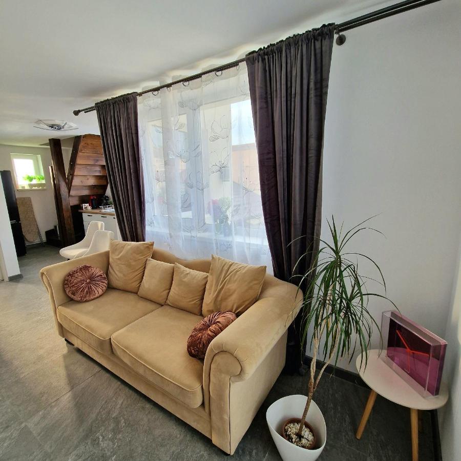 Vila Gruia Cluj-Napoca Eksteriør bilde